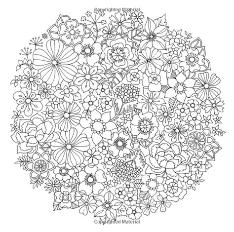 World of Flowers: A Coloring Book and Floral Adventure: Amazon.ca