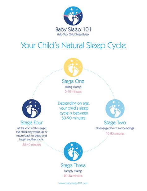 The Science Of Sleep Babysleep 101