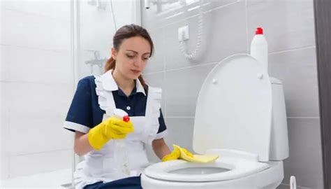 Easy Ways To Clean A Toilet Bowl Without Scrubbing