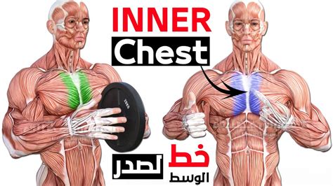 Best 7 Exercises Inner Chest 🔥 Youtube