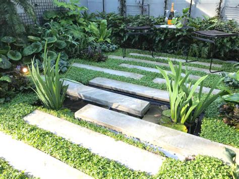 Pin by Sherry Scurlock on Garden & Outdoor Entertaining | Bog plants