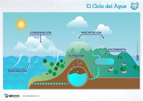 Ciclo Del Agua Etapas