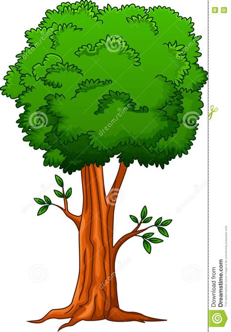 Cartoon Big Tree Stock Vector Illustration Of Alone