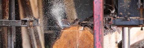 Well you're in luck, because here they come. Maine Cedar Sawmill | Dewey's Lumber and Cedar Mill ...