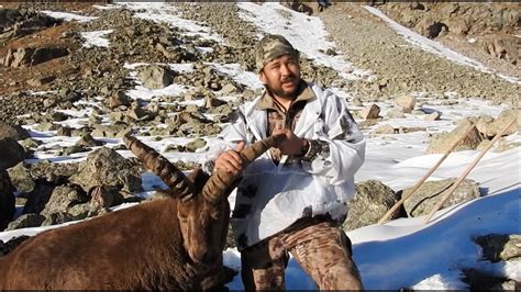 Охота на Кубанского тура в горах Кавказа 2018 kuban tur hunting in the caucasus 2018 youtube