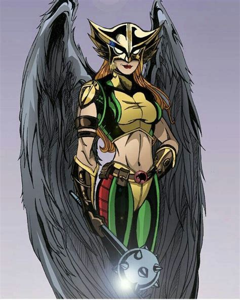 Pin By Juan Lanzot On Dc Superhero Artwork Hawkgirl Dc Comics Girls
