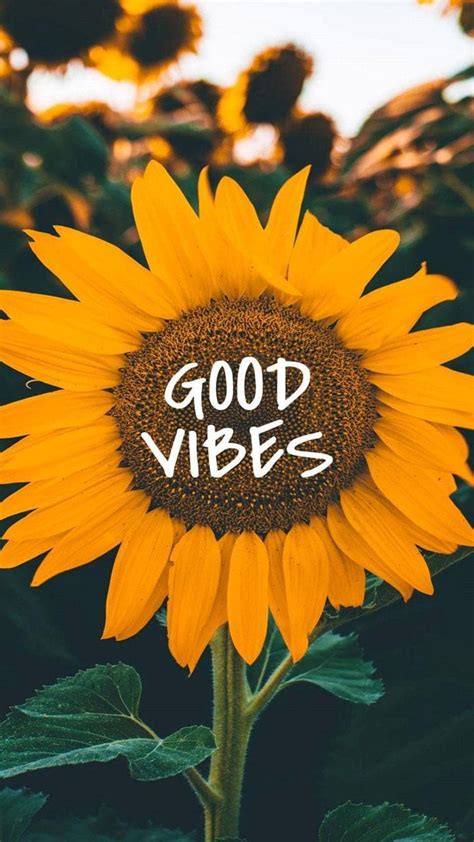 Good Vibes Wallpaper En