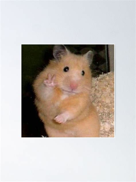Hamster Peace Sign Meme Poster For Sale By Savagewav Redbubble