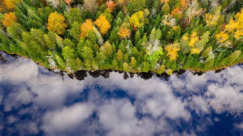 2k Free Download Aerial View Of Fall Forest With Reflection Of Blue