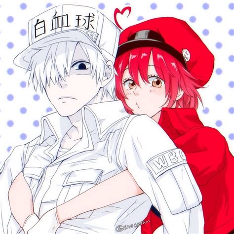 It features the anthropomorphized cells of a human body. White Blood Cell and Red Blood Cell, by Pixiv Id 8334886 ...
