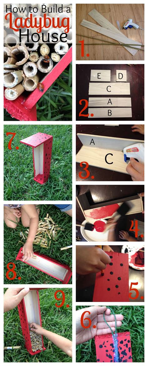 Attach four brackets to your base panel, one each at both rear corners, and one set back two inches from each of the front corners. How to Build a LadyBug House | Ladybug house, Ladybug, Garden crafts