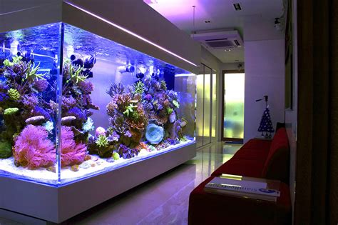 Top 10 List Of Worlds Coolest Aquariums Fails To Impress Aquanerd