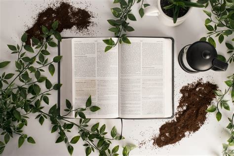 The Incredibly Interesting Symbolism Of Plants In The Bible By Sue