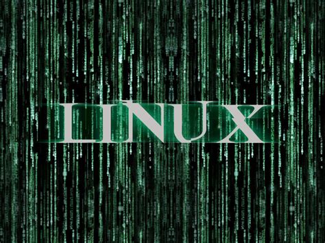 Download Linux Matrix Wallpaper 1024x768 | Wallpoper #382411