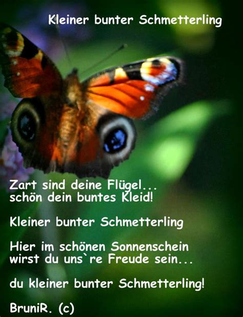 Kleiner bunter Schmetterling... - Düsseldorf