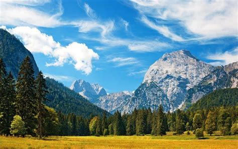 Download Wallpapers Alps Mountains Forest 4k Meadow Blue Sky