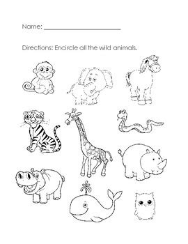 They will have to identify whether the animal can be a pet, farm or a zoo/wild animal. Wild Animals Worksheet by Aileen Chu | Teachers Pay Teachers