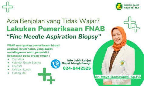 Hermina Hospitals Fnab Fine Needle Aspiration Biopsy Examination