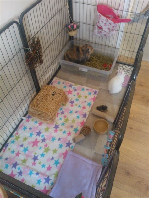 Trixie's rabbit hutch with sloped roof is ideal for a single or smaller breed rabbits, as well as guinea pigs. Image result for bunny setups indoor | Indoor rabbit, Pet ...