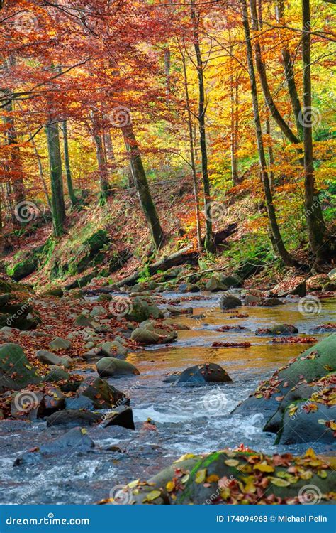 Forest River In Autumn Stock Photo Image Of Boulder 174094968