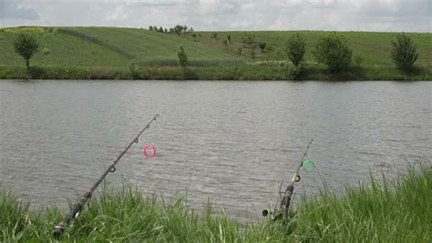 Now you catch the fish. ULTRA HD 4K Fishing Equipment In Nature, Wild Lake Pond ...