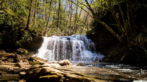 16,310 likes · 37 talking about this · 599 were here. Go Chasing Waterfalls with this West Virginia State Park ...