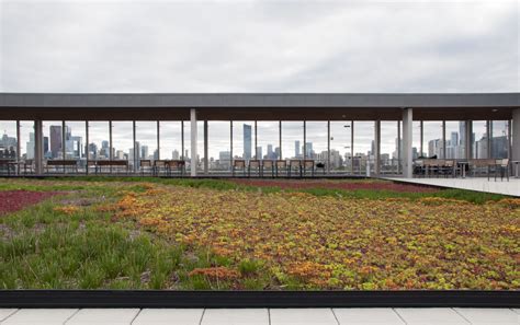 Bridgepoint Active Healthcare — Green Roofs For Healthy Cities