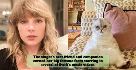 Olivia Benson Taylor Swifts Cat Is The Worlds Third Richest Pet