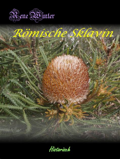 römische sklavin ebook by rene winter epub book rakuten kobo united states
