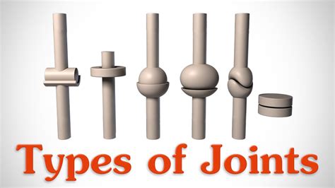 Types Of Joints In The Human Body Science Facts