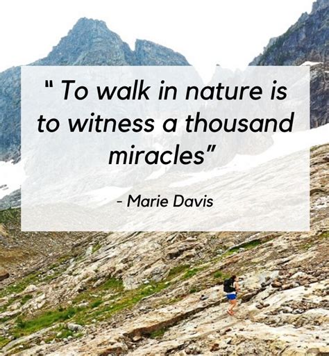 27 Best Hiking Quotes From Inspiring And Outdoorsy Storytellers — The