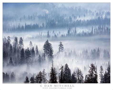 Wildfire Smoke Forest Morning G Dan Mitchell Photography