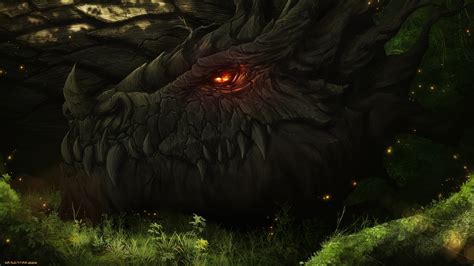 Dragon Forest Artwork Fantasy Art Smaug Wallpapers Hd Desktop And