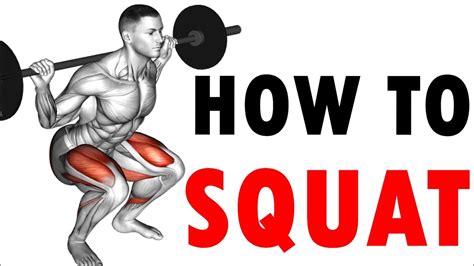 How To Squat Youtube