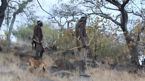 Africa Tanzania Hadzabe Tribe Baboon Hunt With Bow And Arrows