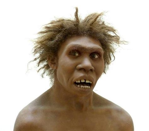 Biology form 1 questions and answers. A Snapshot of Our Mysterious Ancestor Homo erectus ...