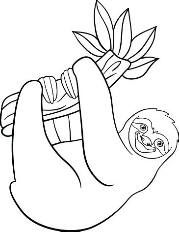 Llll➤ hundreds of printable sloth coloring pages and books. Coloring Pages Cute Lazy Sloth Hangs On The Tree Stock ...