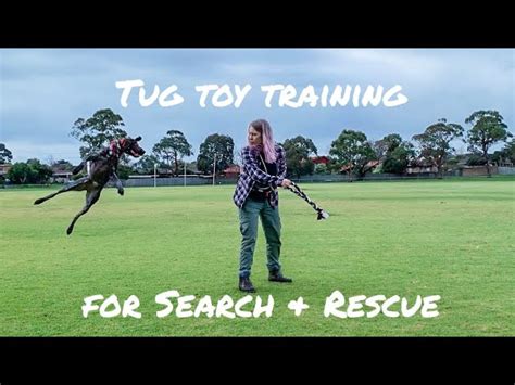 Tug Toy Training Using Tug Playing Tips From Leerburg