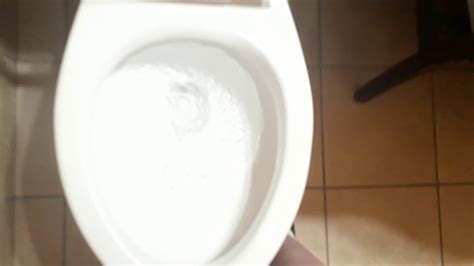 This elongated toilet is designed to satisfactorily answer that call of human nature whenever you need it. 1,025: 2006 mansfield alto toilet flushes. (Read ...