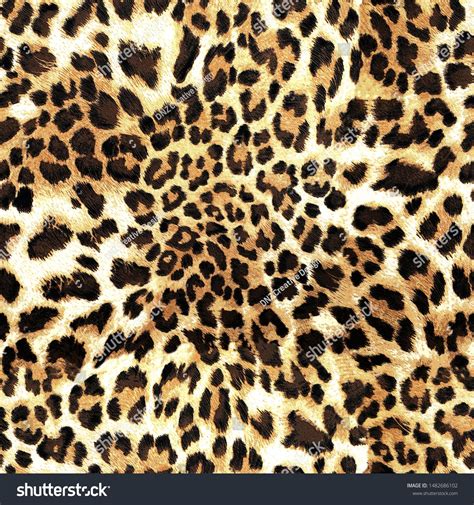 Leopard Skin Texture Seamless Pattern Design Image Illustration Tiger