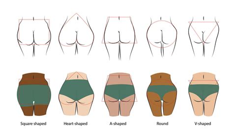 5 Butt Shapes And How To Protect Them Naturally Wama Underwear