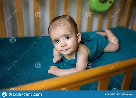Cute Newborn Baby On A Blue Blanket Baby In His Bed Closeup Portrait