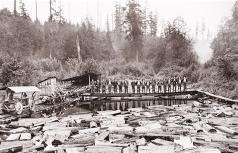 Amazing Vintage Photographs Document Logging And Lumber Activities In