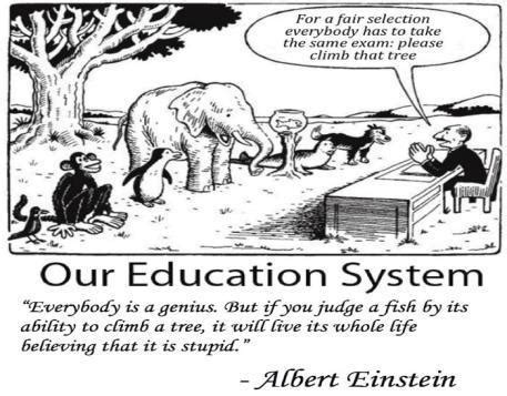 Einstein Is Wrong About Fish - Robb Brewer