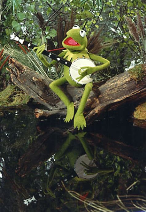 Kermits Swamp Muppet Wiki Fandom
