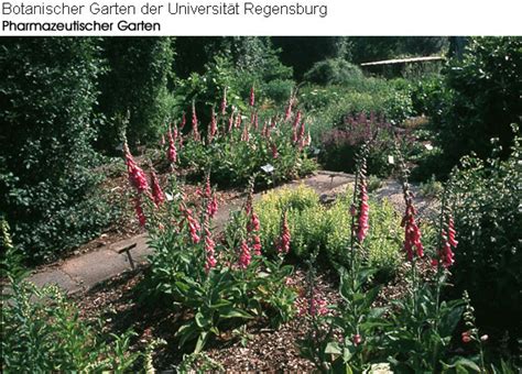 Botanischer garten regensburg, oberpfalz, bayern, deutschland botanischer garten adresse park. Gartenrundgang - Universität Regensburg