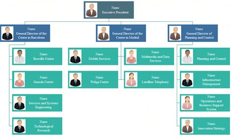 Company Orgnizational Chart Introduction And Examples Org Charting