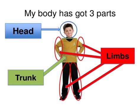 Science 3º Primaria Pedro I 3 Main Parts Of The Body