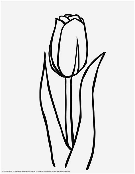 24 Gambar Sketsa Bunga Yang Mudah Galeri Bunga Hd