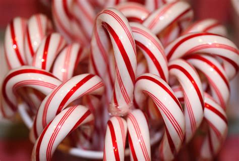 Nortons Usa The Origins Of Candy Canes A Favorite Holiday Treat